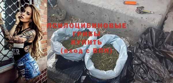 индика Алексеевка