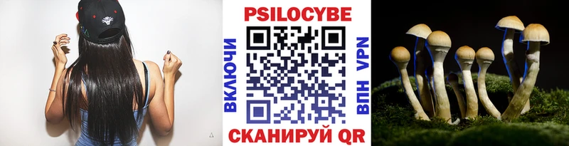 Галлюциногенные грибы GOLDEN TEACHER  купить наркоту  Карачев 